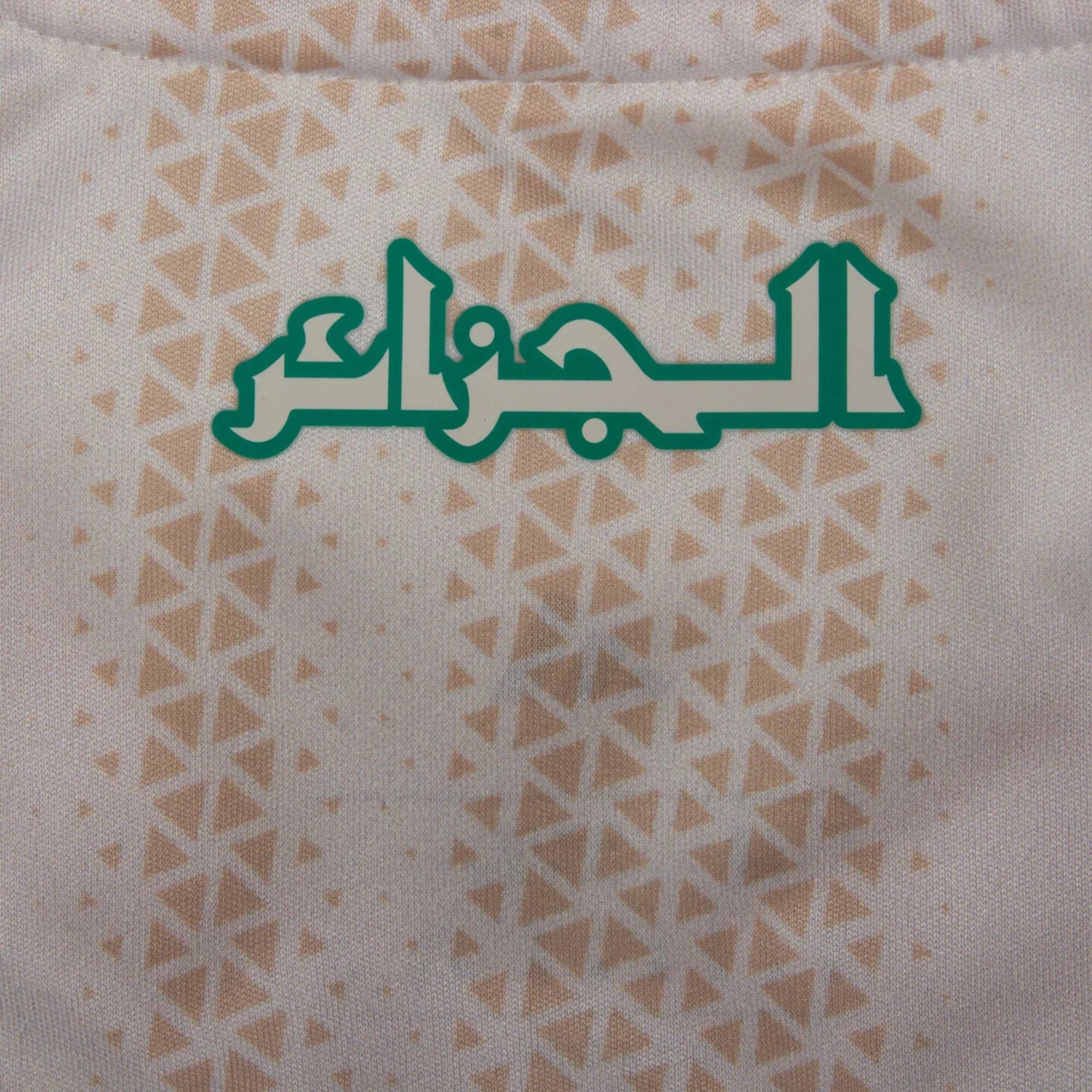 Algeria Home Jersey 2026-2027 (Fan)