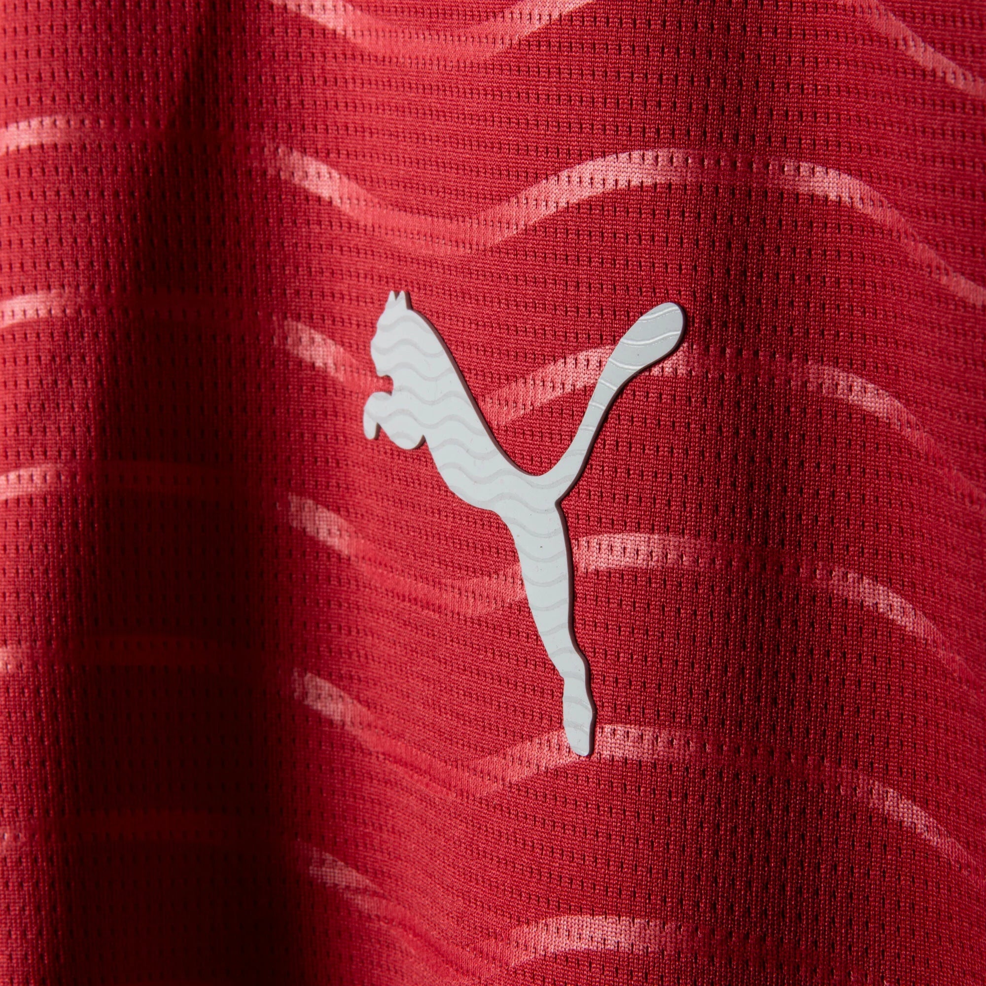 Portugal Home L/S Jersey 2026-2027 (Fan Version)