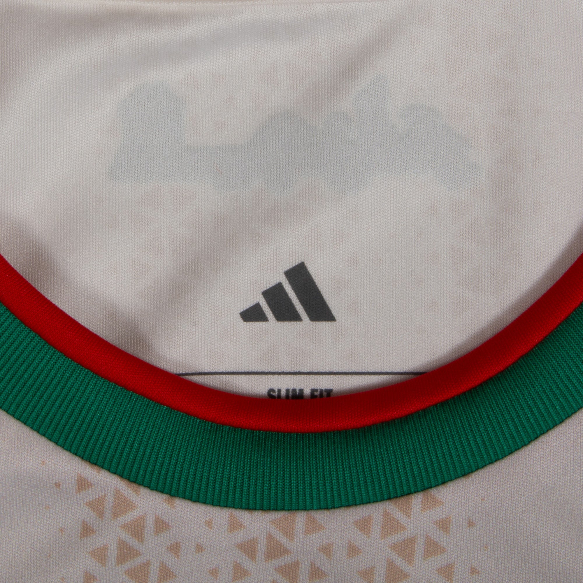Algeria Home Jersey 2026-2027 (Fan)